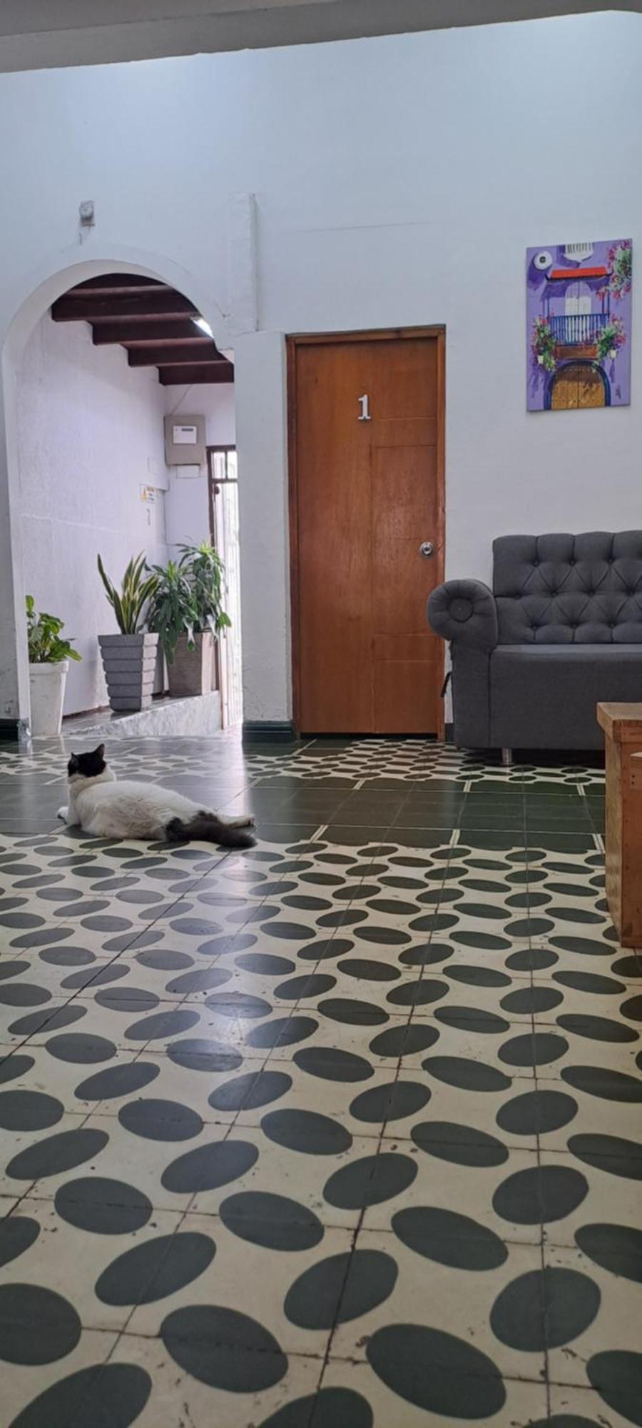 Hostal Casa Lara Cartagena Ngoại thất bức ảnh